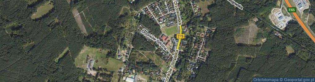 Zdjęcie satelitarne Drzonków-Szkolna ul.